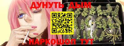ешки Бийск
