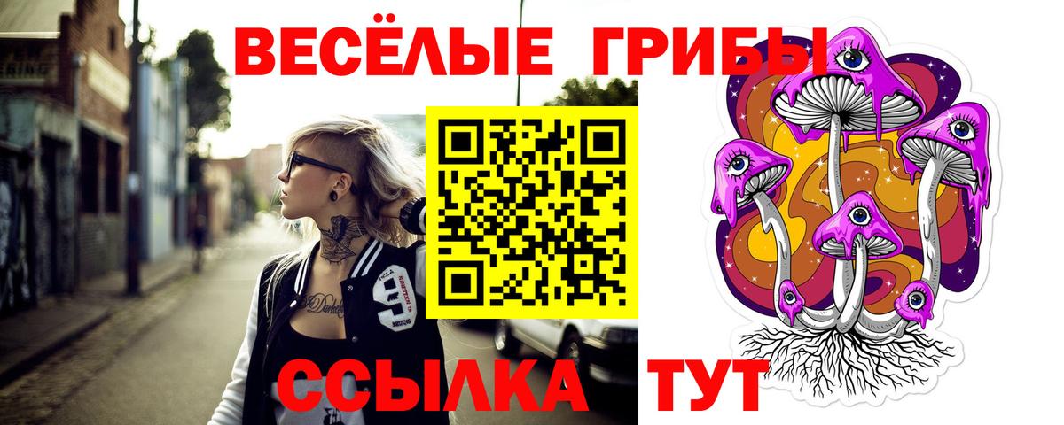 Псилоцибиновые грибы ЛСД Вышний Волочёк
